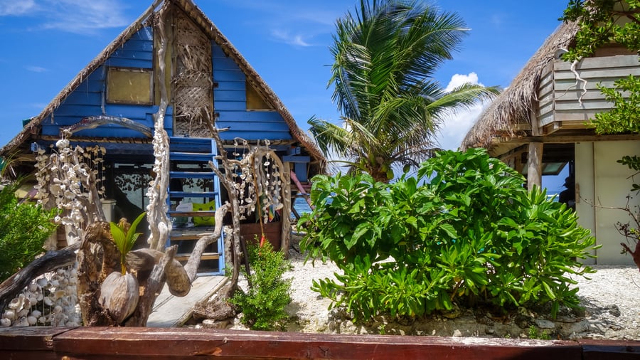 Traditionel tropisk hytte på stranden i Moorea