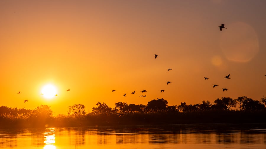 Avsked från Kwara Camp och Botswana