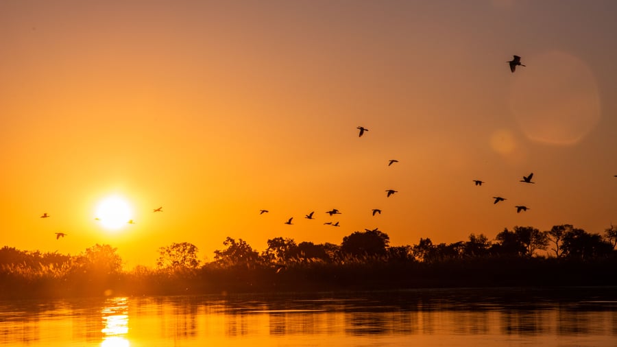 Farvel til Kwara Camp og Botswana