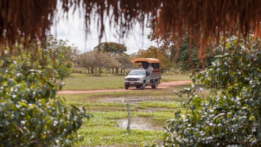 Op pad in het moerasgebied Pantanal