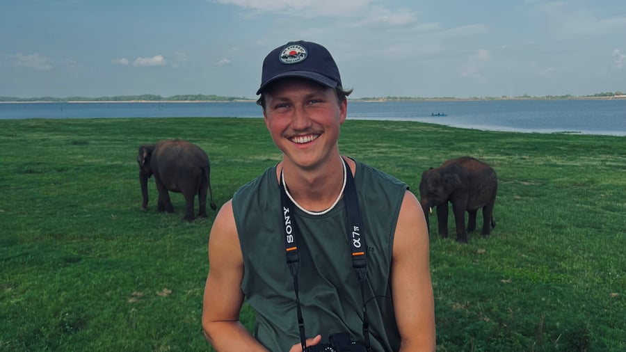 Spot elephants on safari