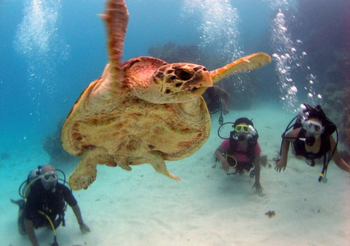 Under water in Mexico
