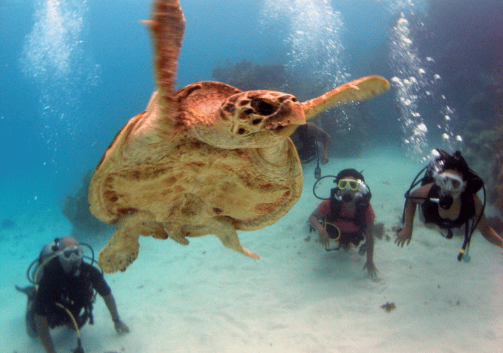 Under water in Mexico