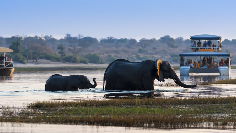 Följ med på safari på vattnet i Botswana