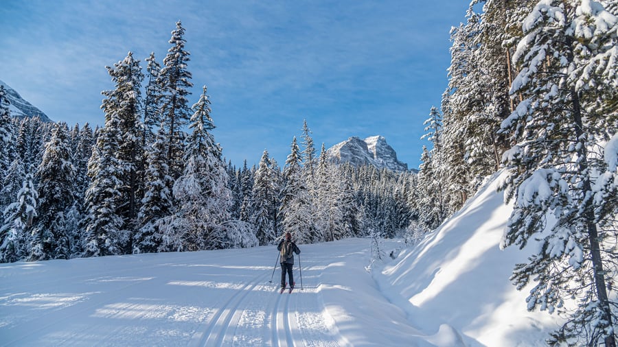 Tag på en naturskøn skiferie i de canadiske bjerge