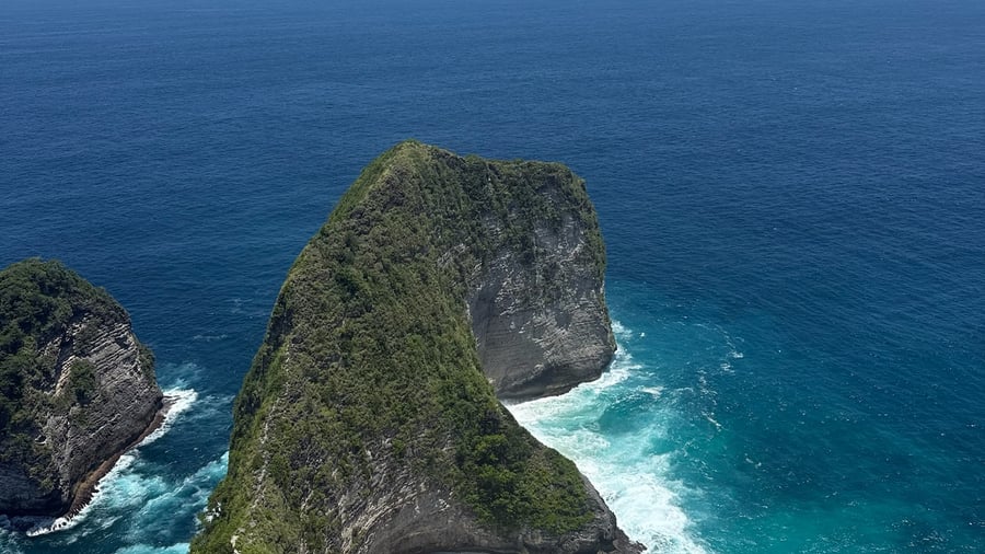 The T-Rex Cliff in Kelingking Beach
