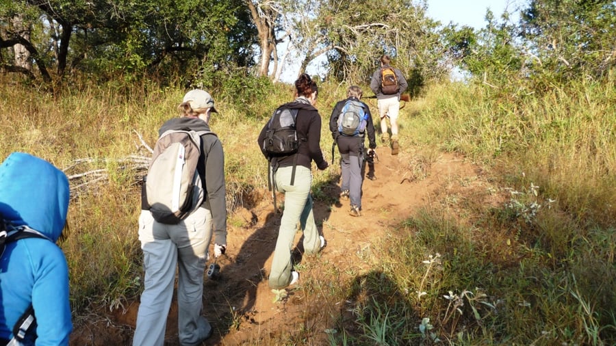 Group walking uphill in Johannesburg