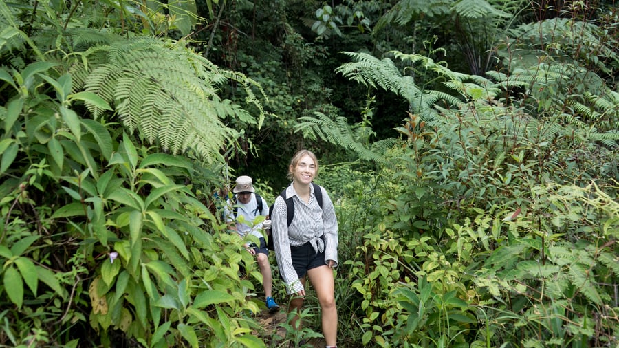 Don't miss out on a guided tour in the jungle 