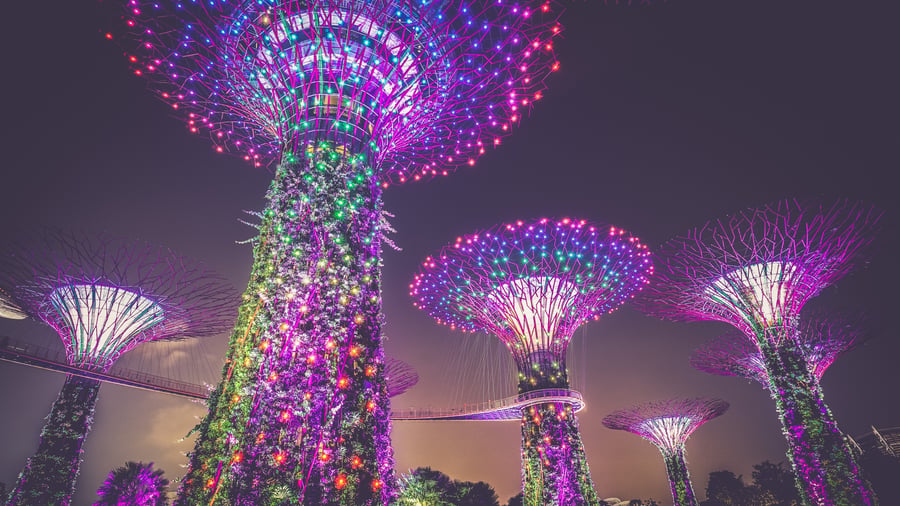 Se de fantastiske Supertrees i Gardens by the Bay