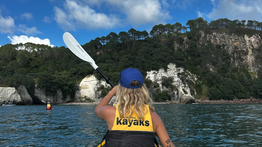 Discover the beauty of New Zealand together