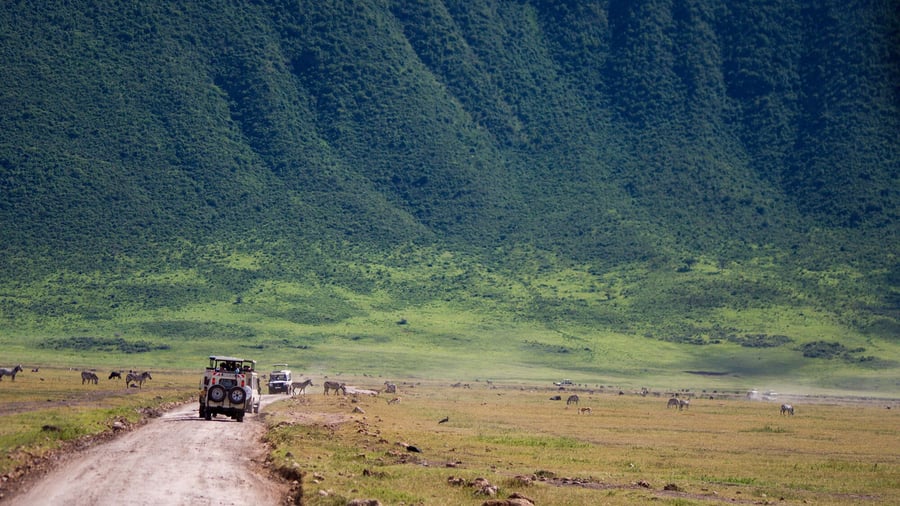 Ngorongoro - et af Afrikas mest unikke natursteder