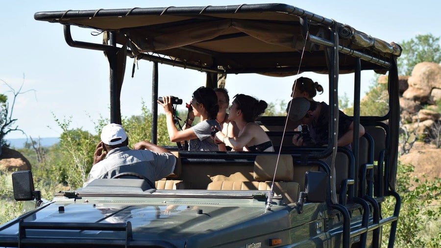 Go on game drives in open safari viachles.