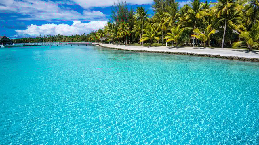 Nyd de smukke palmeklædte sandstrande på Bora Bora