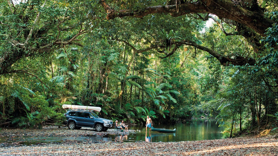 Naturskønne omgivelser i Daintree National Park