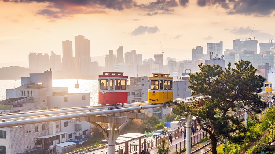 Busan med de beømte farverige vogne