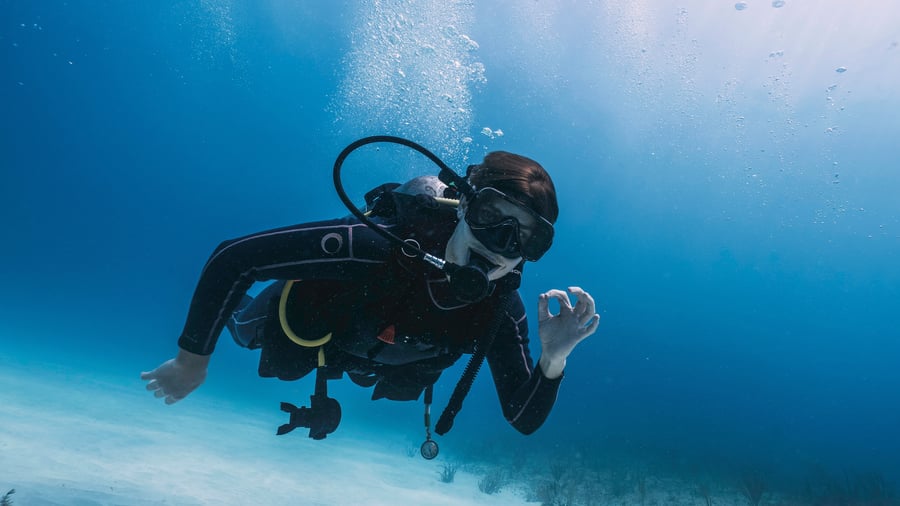 Take your PADi certificate in Egypt. 