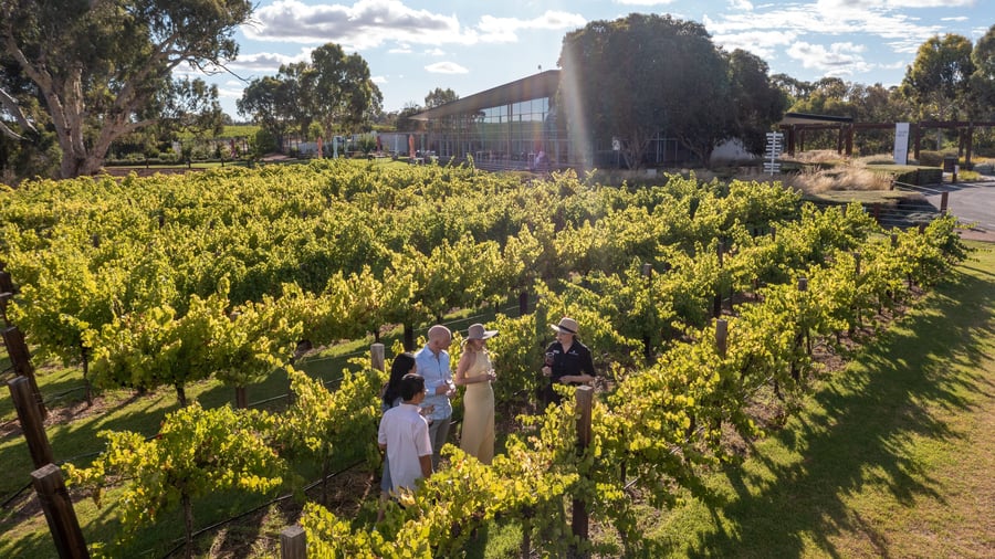 Barossa Valley i Australien