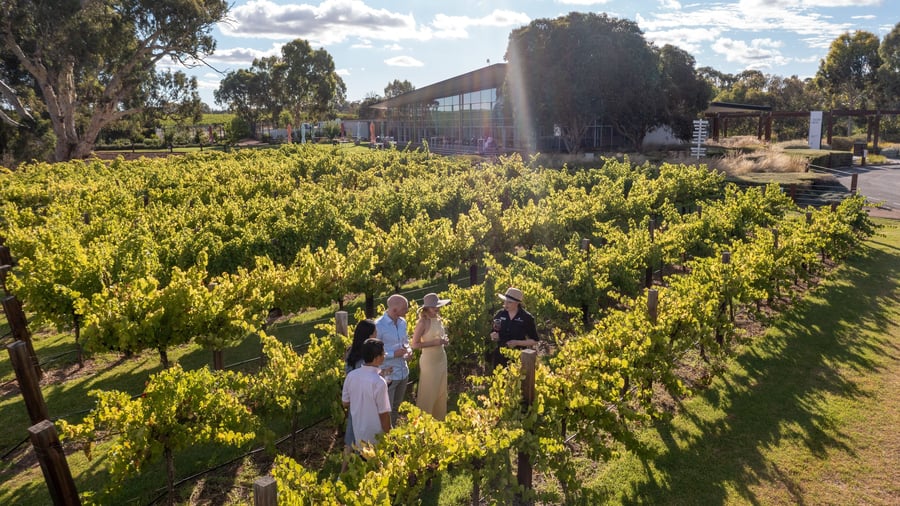 Barossa Valley i Australien