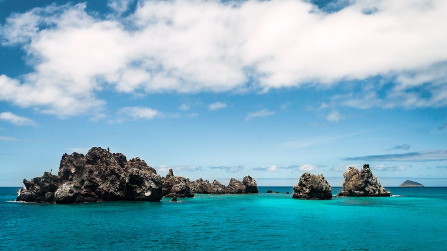 Explroe the islands of Galapagos. 
