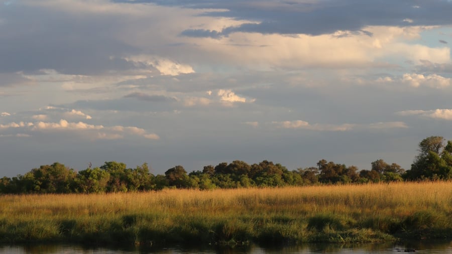  Spot hippos on a scenic Lake Naivasha cruise