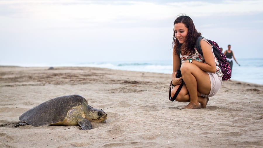 Explore Mexico