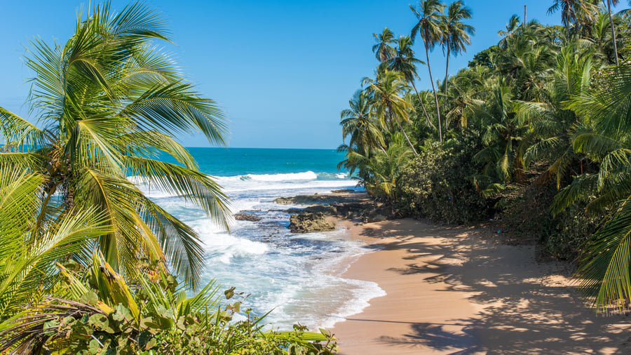 Strandliv og caribisk atmosfære i Puerto Viejo