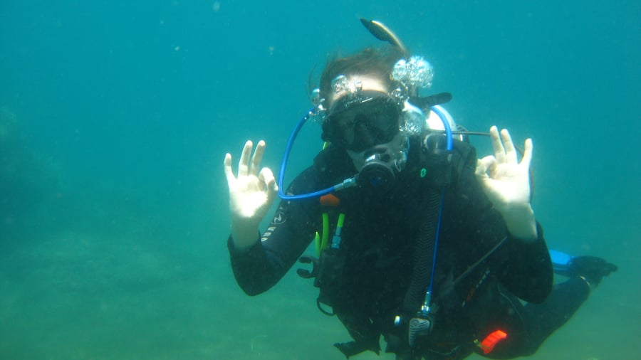 Get PADI certified in Dauin