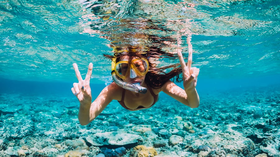 The oceans around Sumbawa Besar are full of life. 