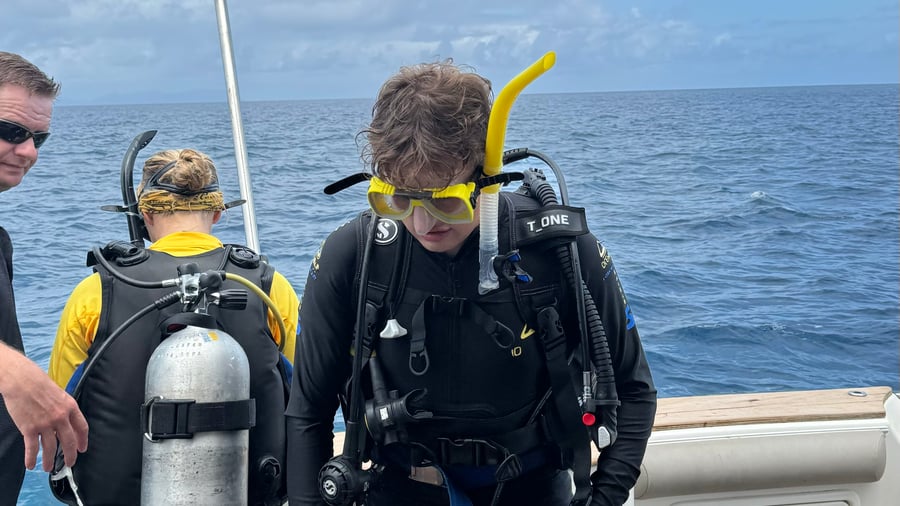 Go diving in the Great Barrier Reef