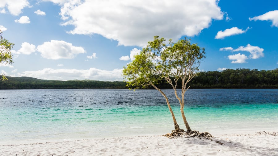 Sötvattensjö mitt i sandlandskapet på Fraser Island