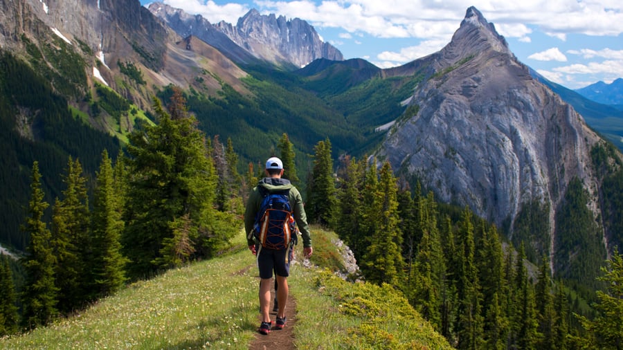 King Creek Ridge, Kananaskis Country