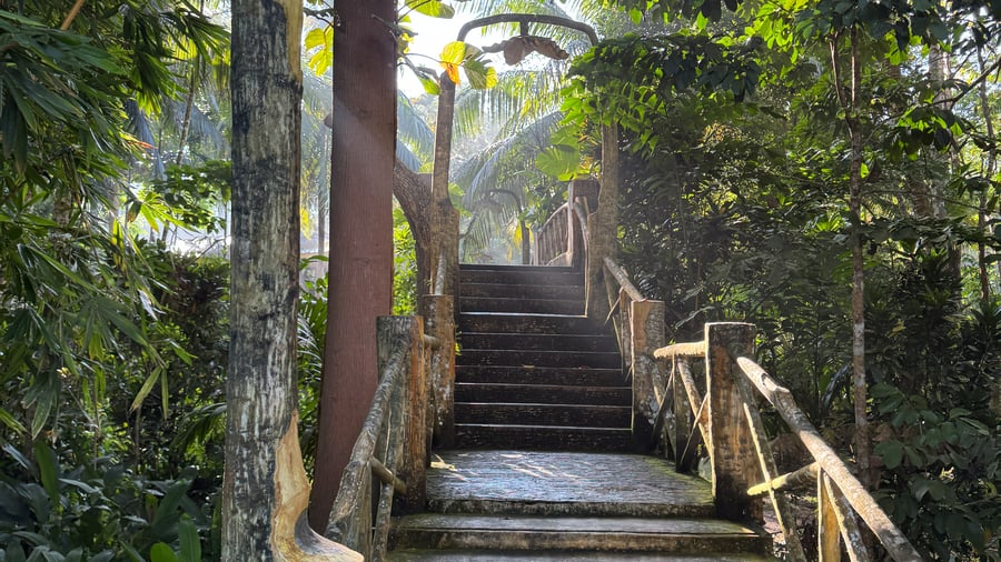 Borneo is known for its lush rainforests 