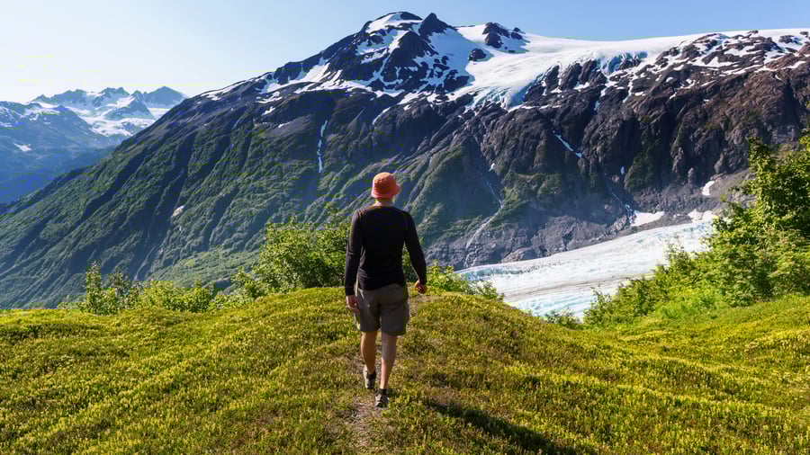 Exit Glacier ved Seward, Alaska