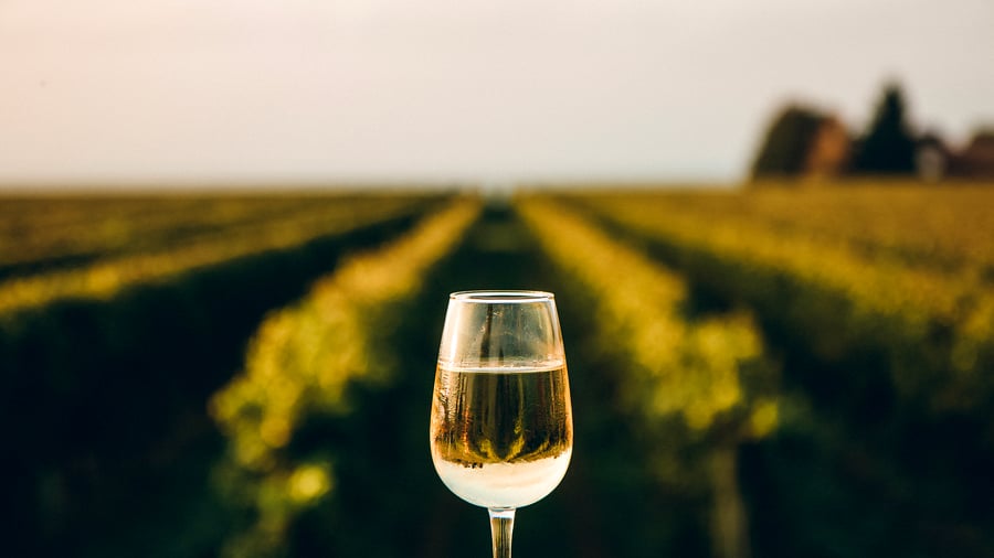 Chardonnay i Yarra Valley
