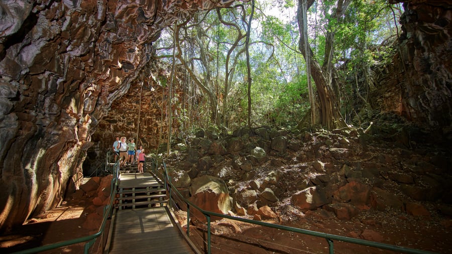 Lavagrotte i Undara Vulcanic National Park