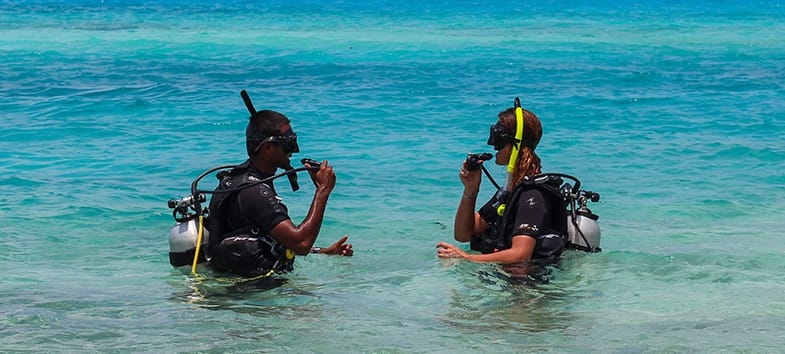 Diving in the Maldives