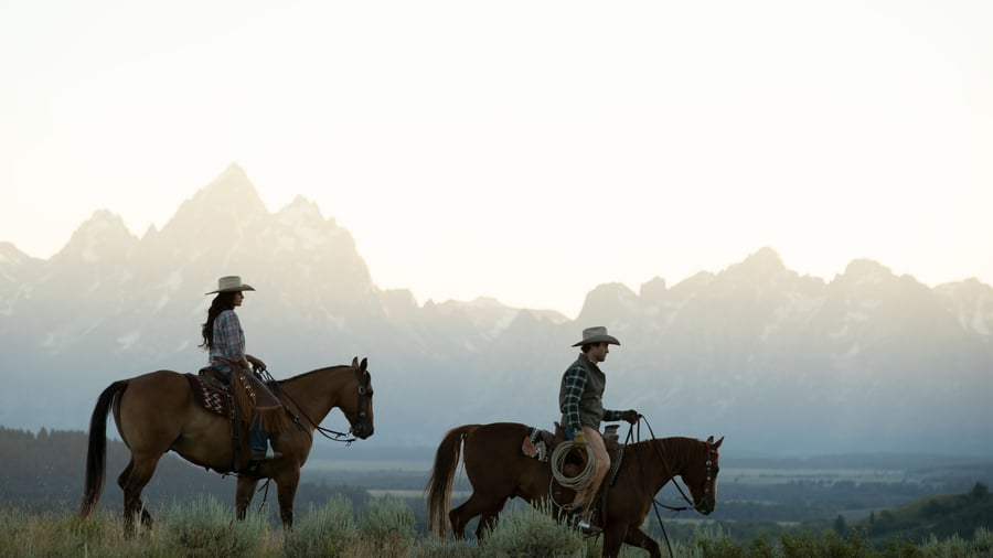 Farvel til cowboycountry