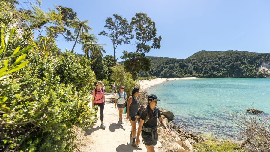 Vandring i Abel Tasman National Park