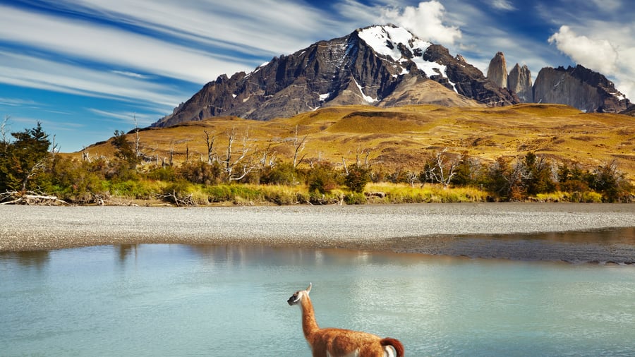 Torres del Paine National Park i Patagonien