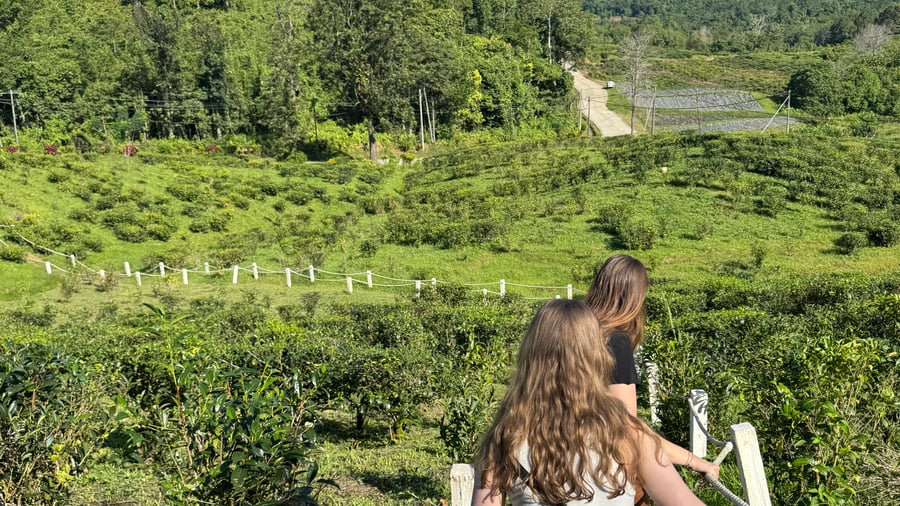 Reisekamerater på tur i marka