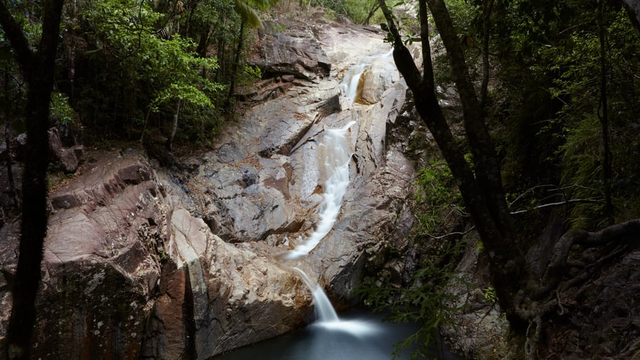Eungella National Park