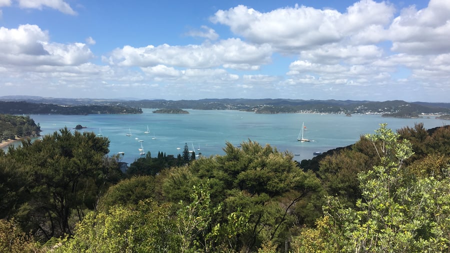 Bay of Islands