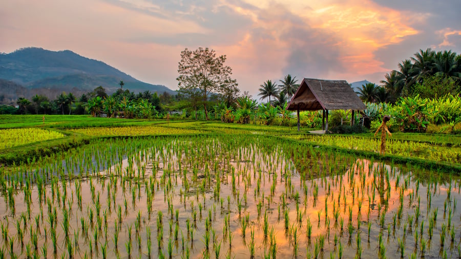 Laos