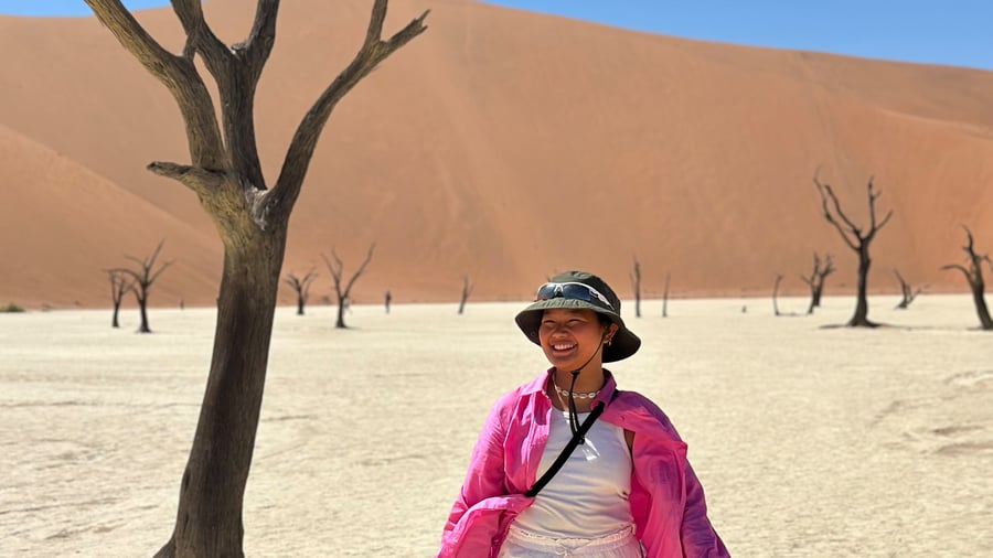 See the dead trees in Deadvlei, Namibia 
