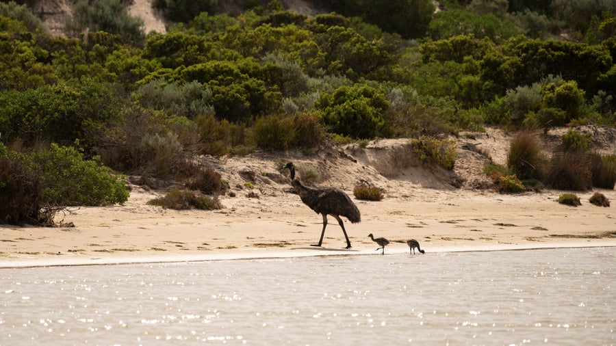 Coorong National Park