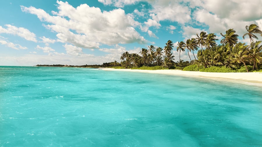 Fantastisk smukke kyster i Punta Cana