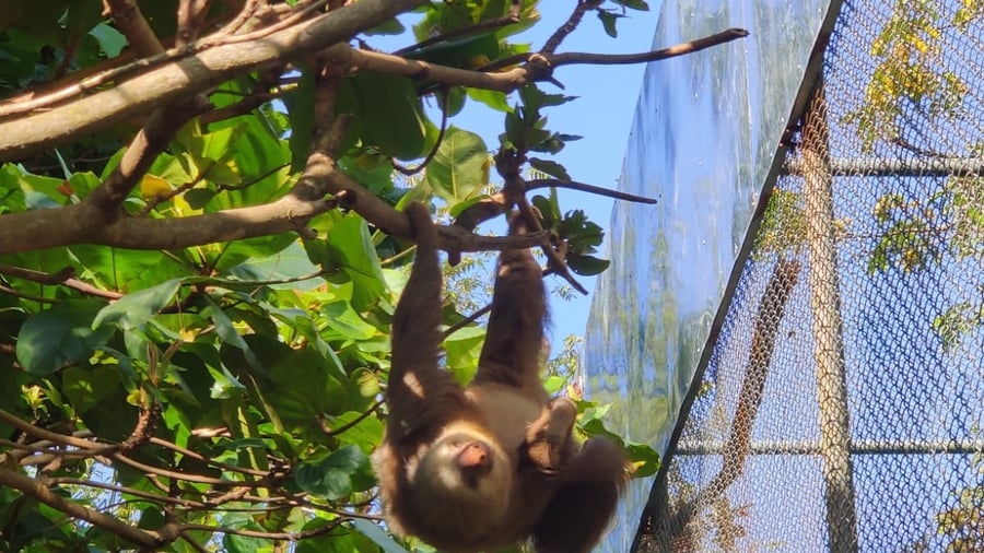 Wildlife sanctuary