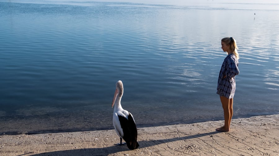 Francois Peron National Park ved Monkey Mia
