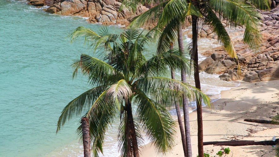 A beach on Koh Samui