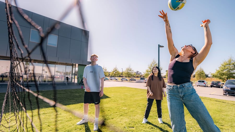 Activities in New Zealand